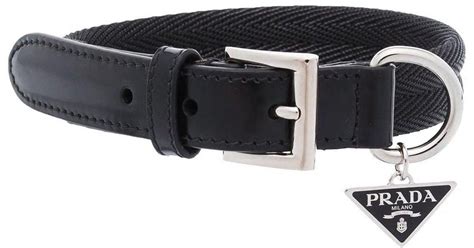 prada dog stuff|prada dog collar and leash.